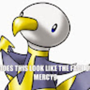 Meet your Posher, Avery